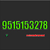 v9515153278.ru